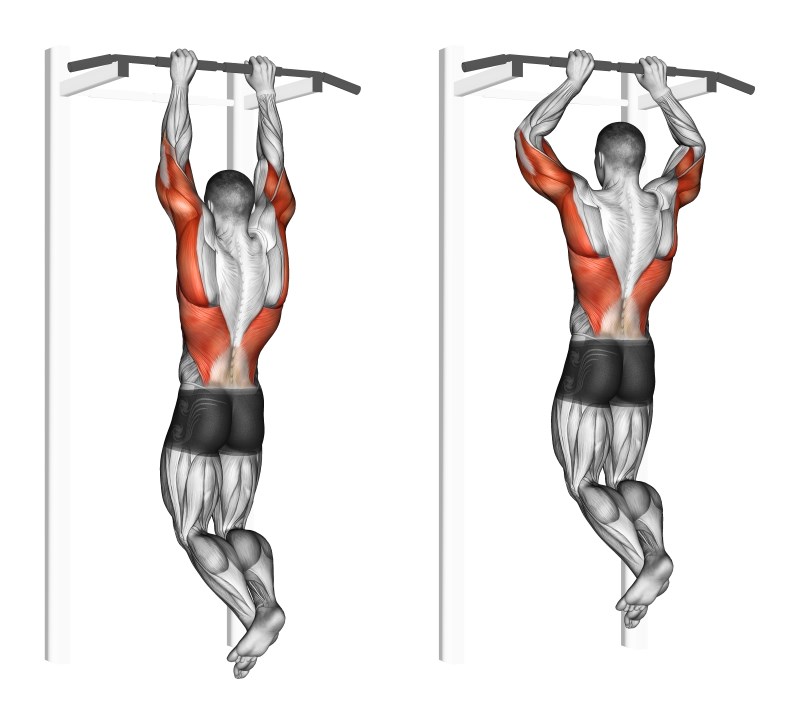 trazioni alla sbarra a presa stretta prona - esercizio per dorsali