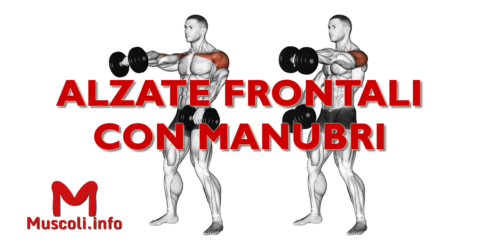 Alzate frontali con manubri esercizio per spalle Muscoli.info
