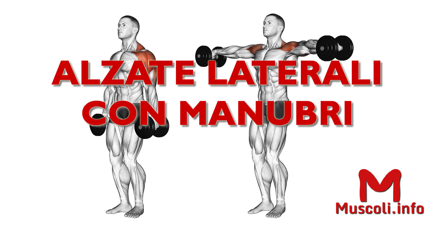 Alzate Laterali Con Manubri Esercizio Per Spalle Muscoli info
