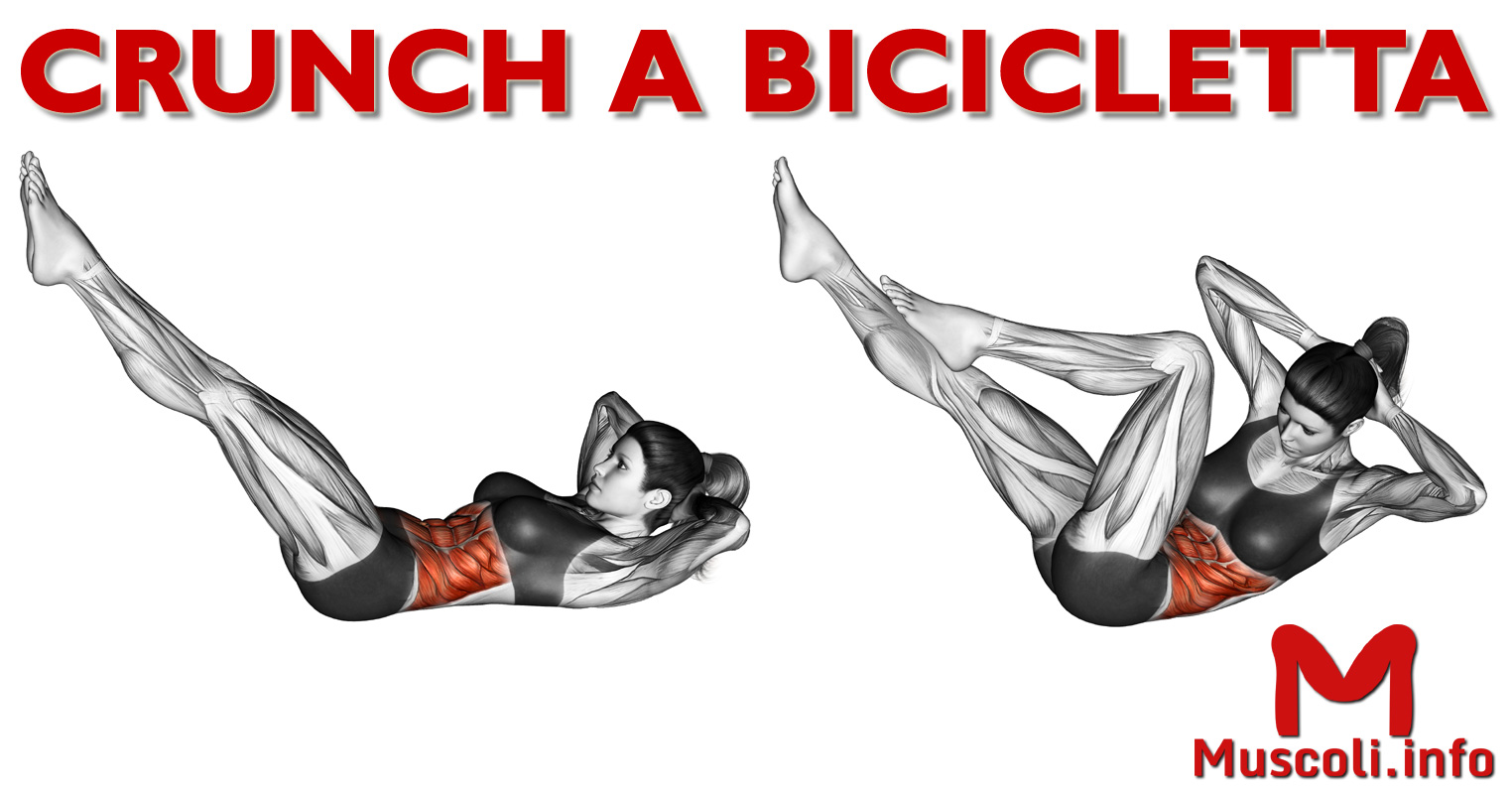 Crunch a bicicletta esercizio per addominali obliqui Muscoli.info