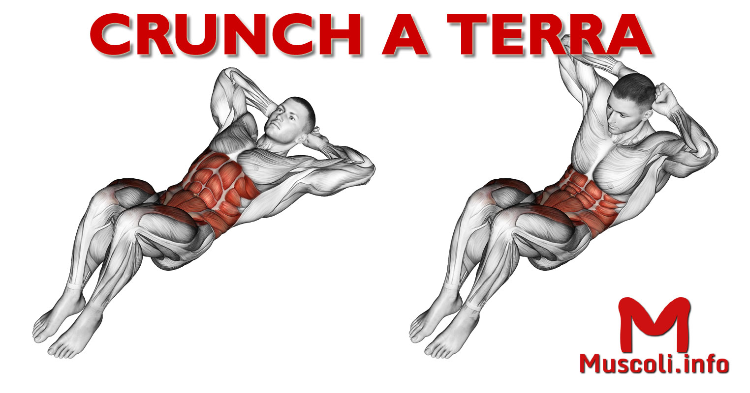 Crunch a terra esercizio per addominali Muscoli.info