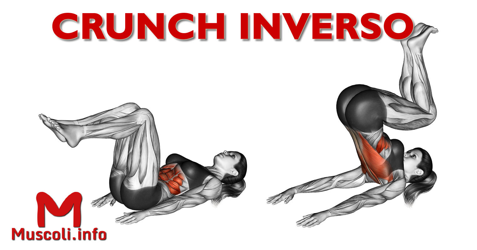 Crunch inverso esercizio per addominali Muscoli.info