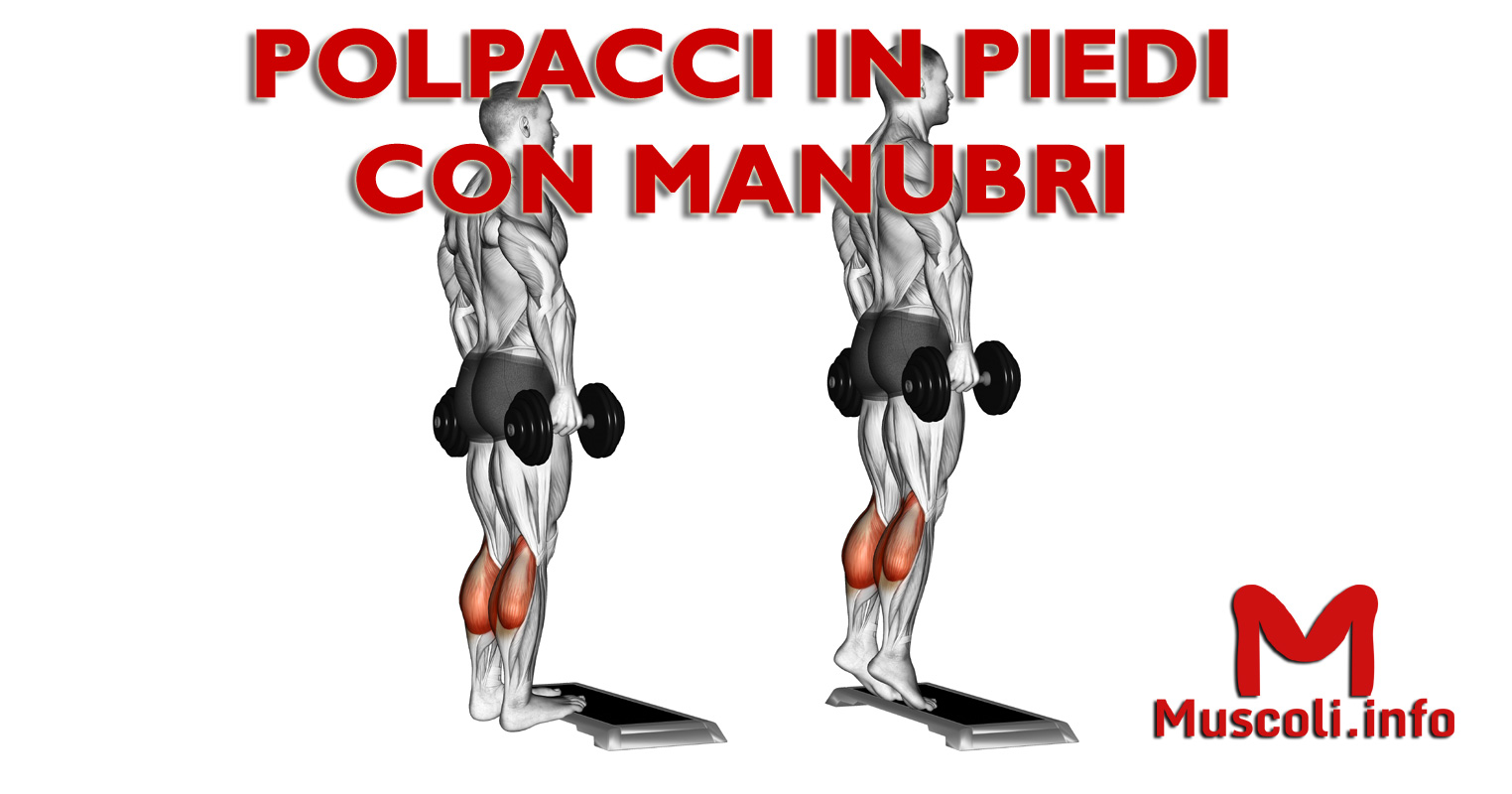 Polpacci In Piedi Con Manubri Esercizio Per Gastrocnemio Muscoli Info