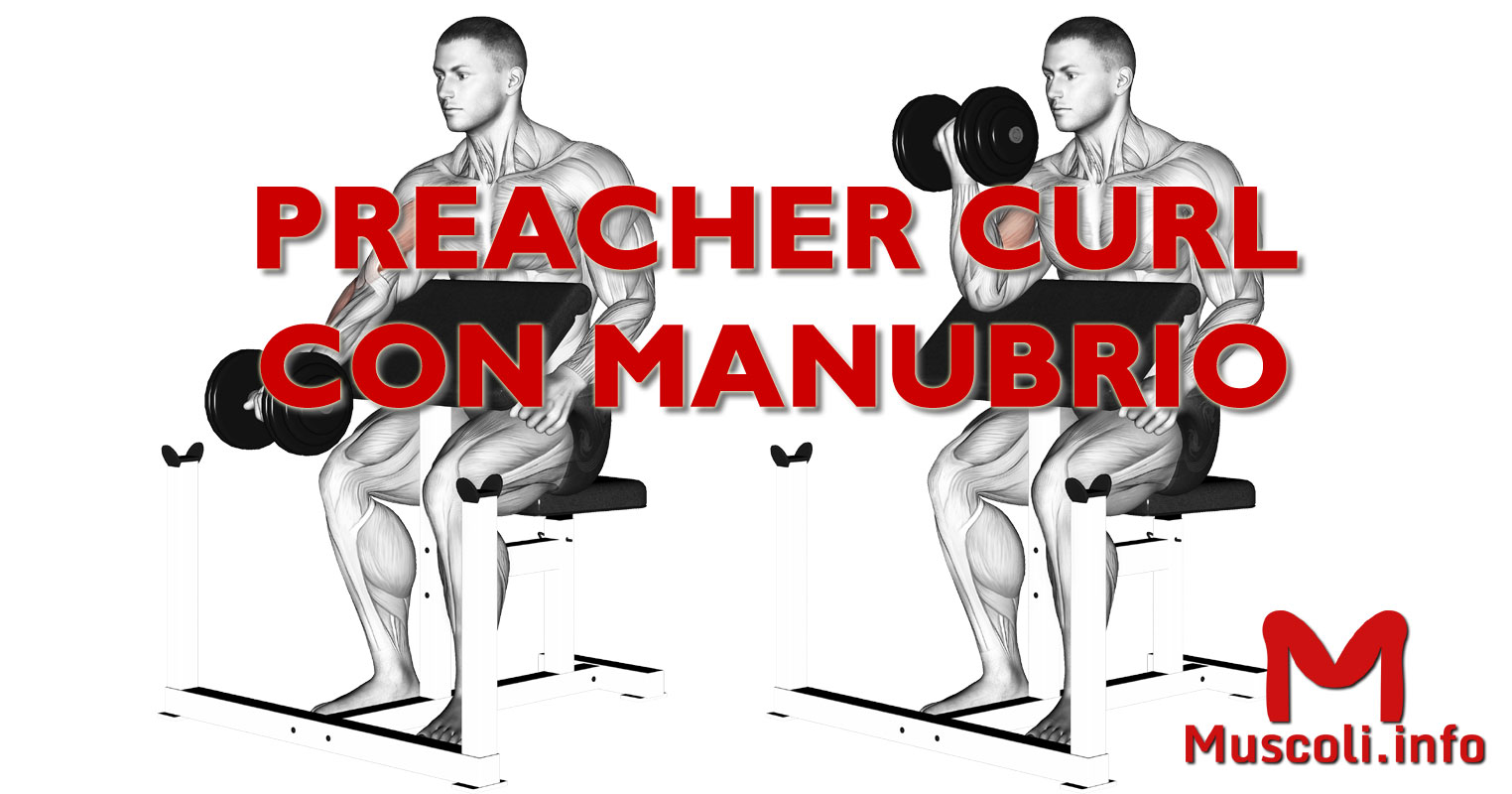 Supporto Curl Bicipiti Arm Blaster Per Allenamento Bicipiti E Tricipiti - Isolatore Muscolare Per Palestra E Casa Curls Muscolari - Foto 13