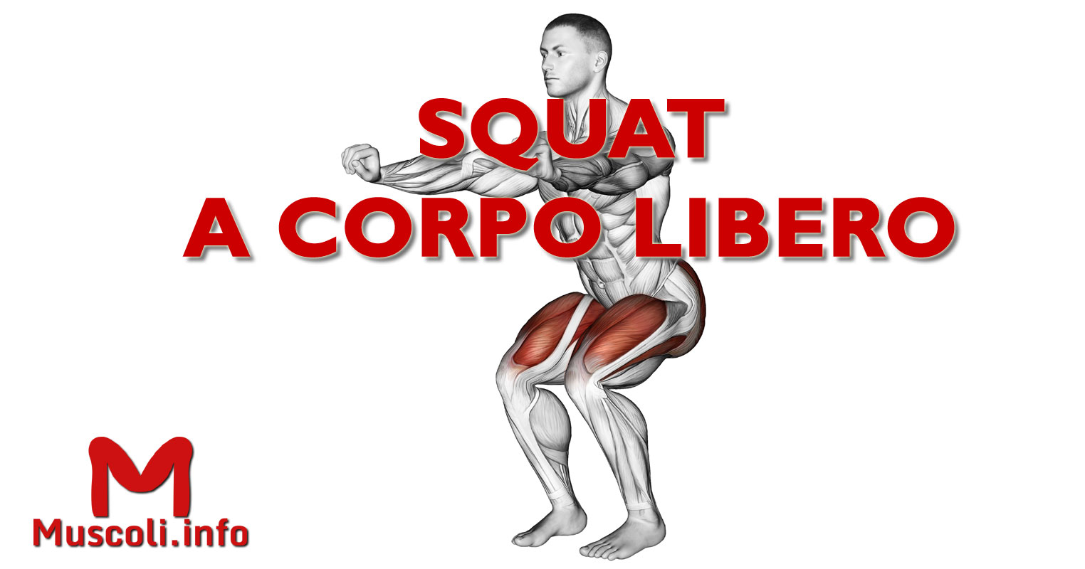 Squat a corpo libero esercizio per gambe Muscoli.info