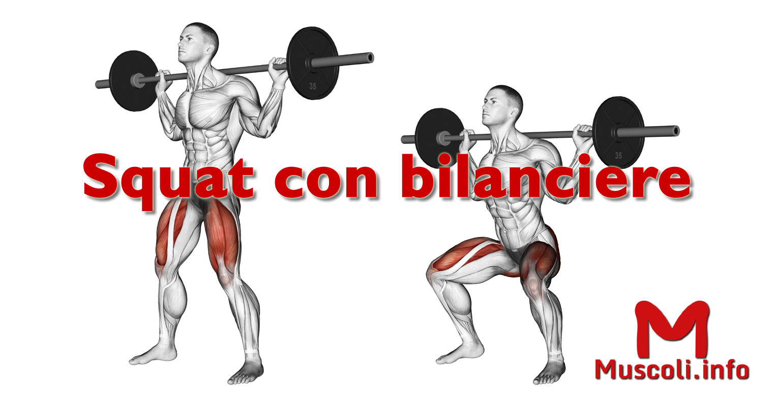 Protezione Per Squat Con Bilanciere Bulk - Schiuma Densa, Per Dolori Spalle E Collo - Foto 9