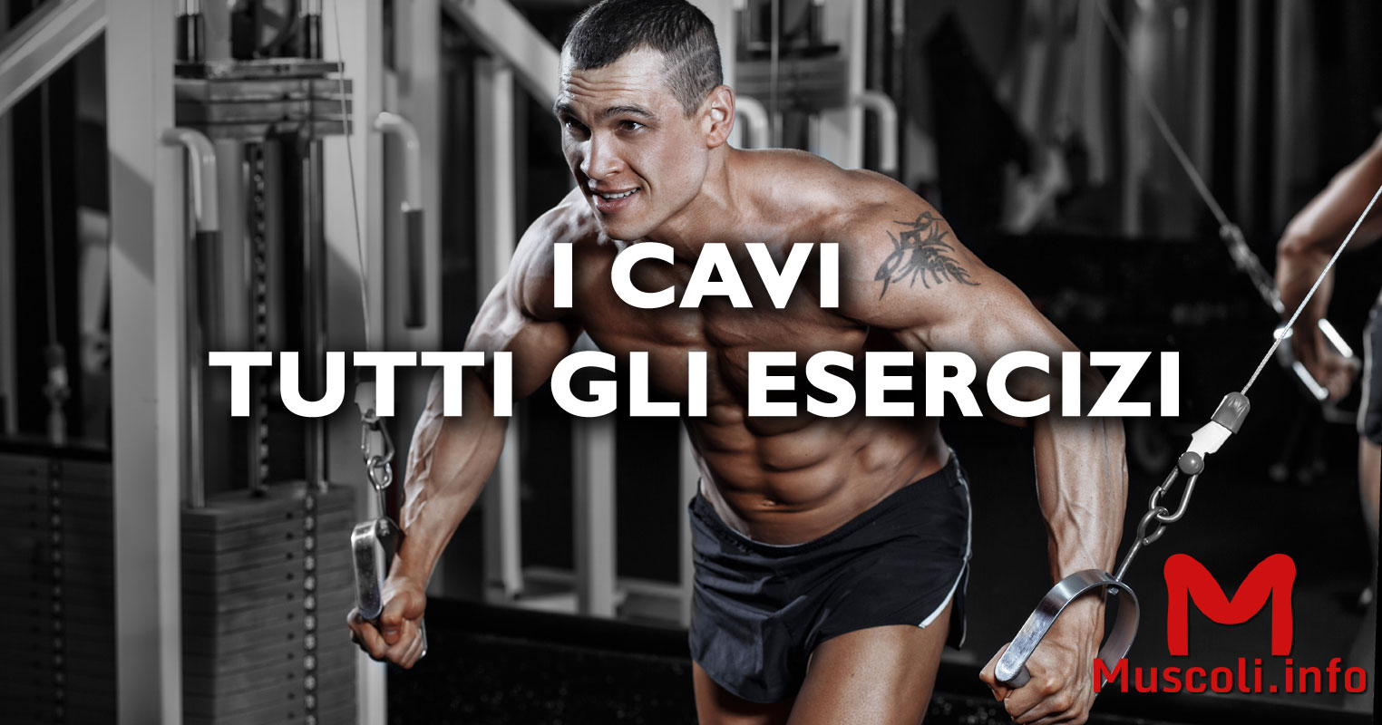 Esercizi ai cavi - 💪 Muscoli.info