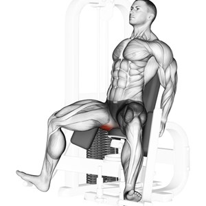 abduzione dell’anca da seduto