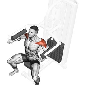 alzate laterali alla macchina seduti - esercizio per le spalle (deltoide laterale)