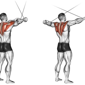 croci inverse ai cavi alti in piedi - esercizio per le spalle (deltoide posteriore)