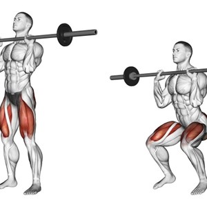 squat frontale o con bilanciere davanti - esercizio per gambe e glutei