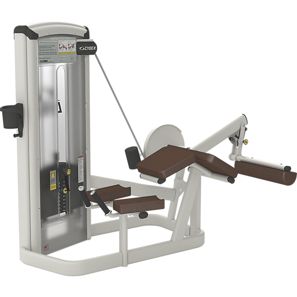 leg curl - macchina per bicipiti femorali