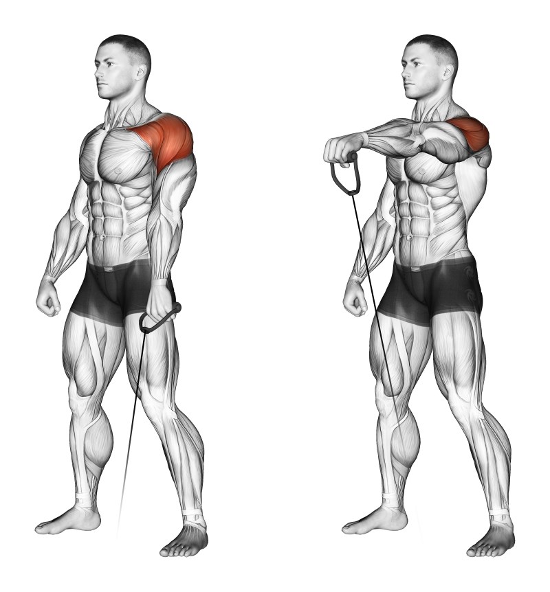 alzate frontali al cavo basso ad un braccio - esercizio per le spalle (deltoide anteriore)