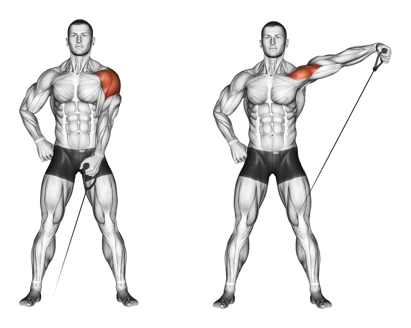 alzate laterali ai cavi - esercizio per le spalle (deltoide laterale)