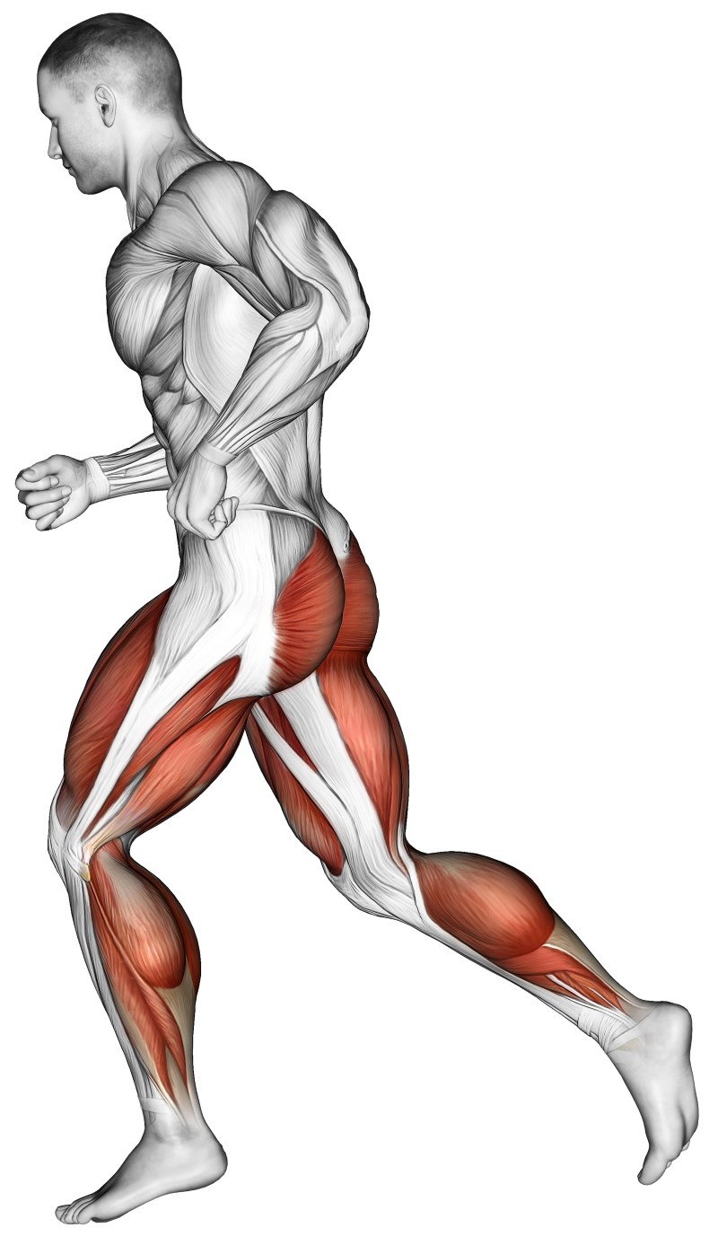 Corsa cardio best sale