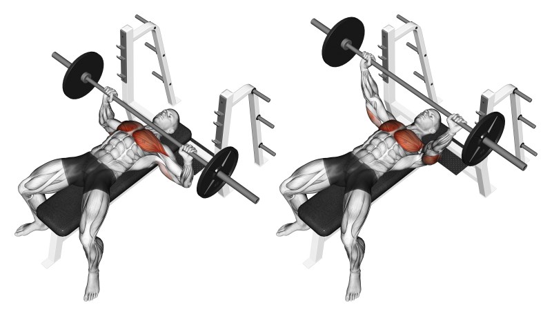 Distensioni Con Bilanciere Su Panca Piana Esercizio Per Pettorali Muscoli Info