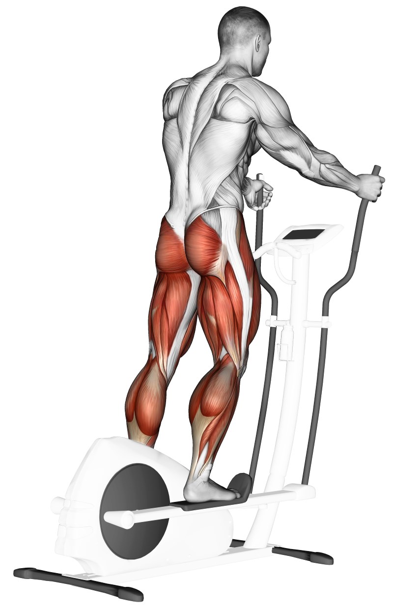 ellittica - esercizio cardio