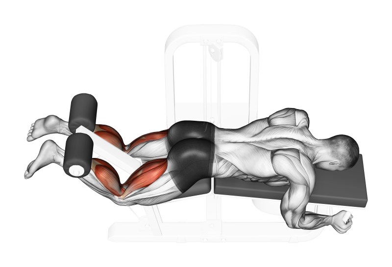 leg curl sdraiato - esercizio per bicipiti femorali