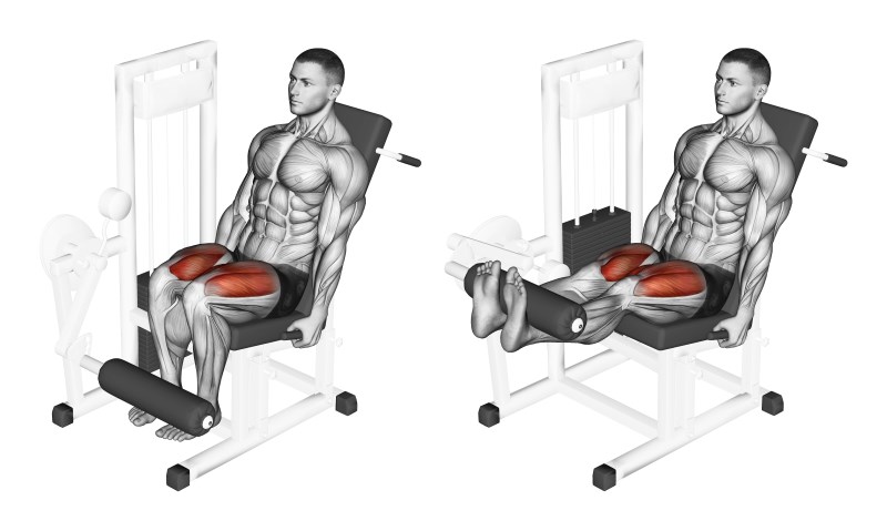 leg extension - esercizio per quadricipiti