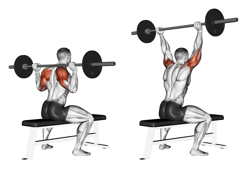 lento dietro con bilanciere da seduto - esercizio per le spalle (deltoide anteriore)