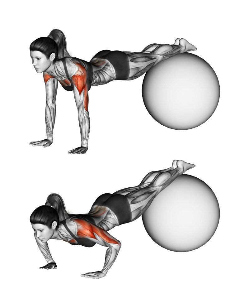 piegamenti sulle braccia declinati con fitball - esercizio per pettorali
