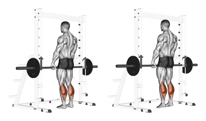 polpacci in piedi alla smith machine o multipower - esercizio per polpacci