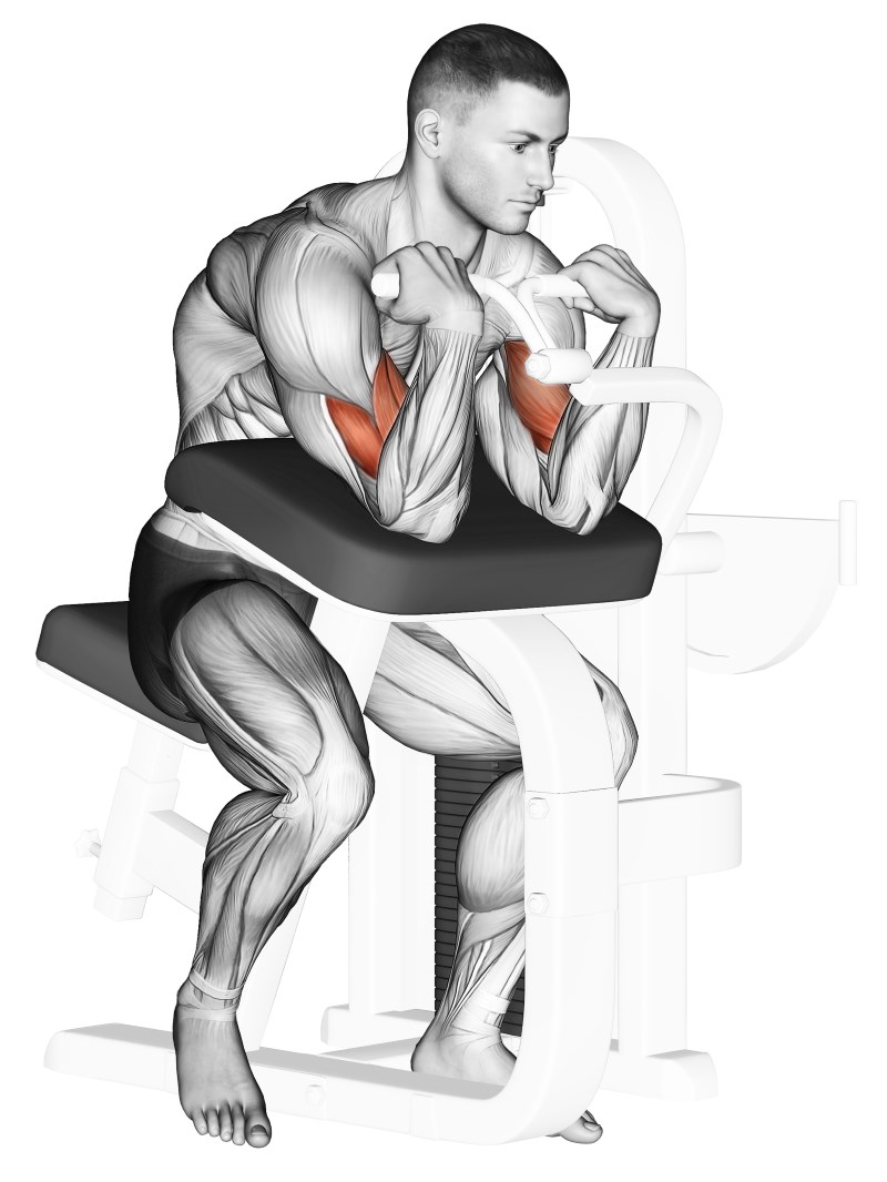 preacher curl alla macchina - esercizio per bicipiti