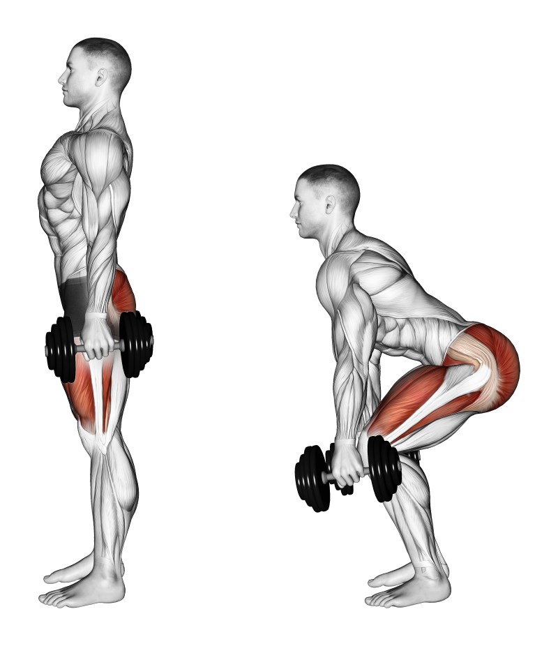 squat con manubri - esercizio per gambe e glutei