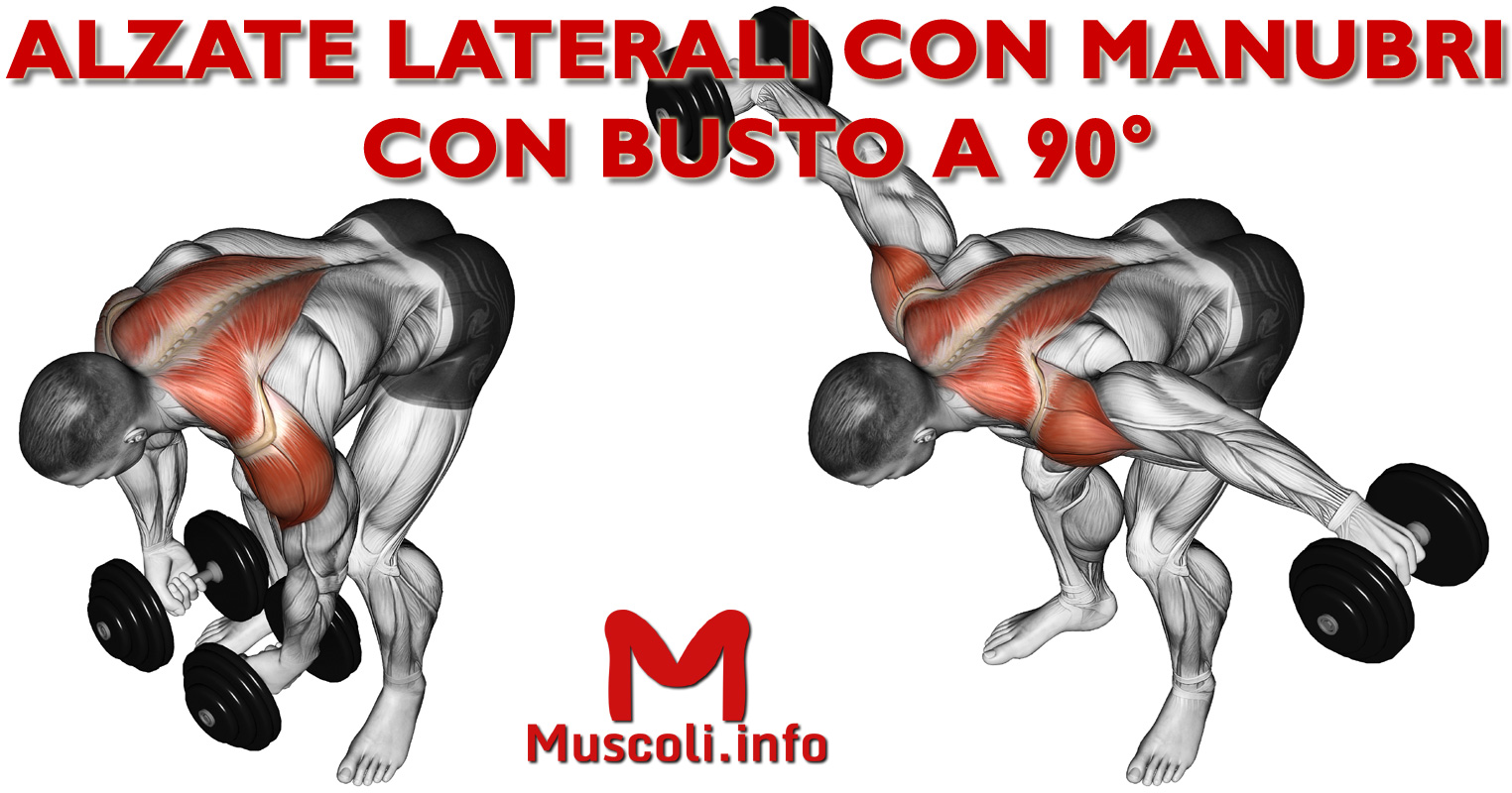 lento con manubri in piedi