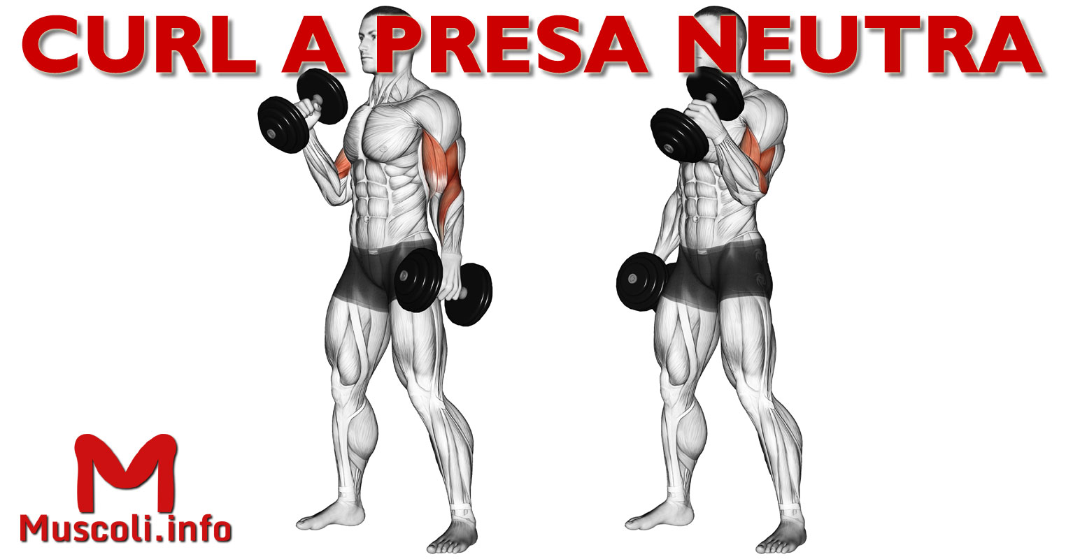 Curl перевод. Curl ответы. Types of curls. Схема завивки волос на плойку. Curl программа.