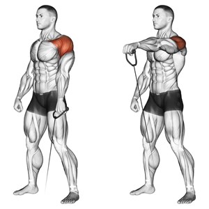 alzate frontali al cavo basso ad un braccio - esercizio per le spalle (deltoide anteriore)