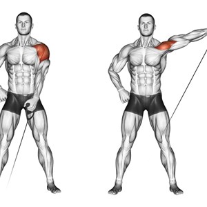 alzate laterali ai cavi - esercizio per le spalle (deltoide laterale)