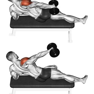 Sovraspinato Muscoli Info