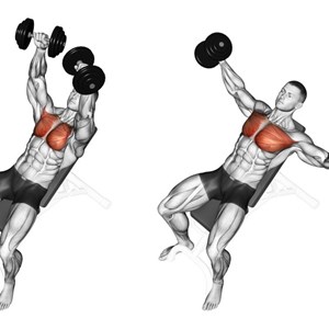 croci con manubri su panca inclinata - esercizio per pettorali