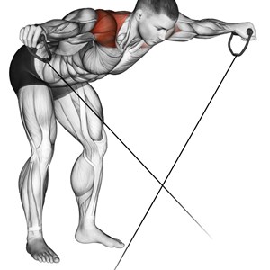 croci inverse ai cavi bassi in piedi con busto a 90° - esercizio per le spalle (deltoide posteriore)