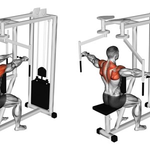 croci inverse alla macchina a presa prona seduti - esercizio per le spalle (deltoide posteriore)