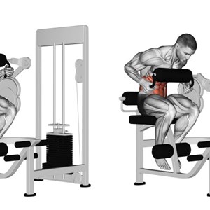 crunch alla macchina con supporto per il torace seduti - esercizio per addominali