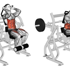 crunch machine - esercizio per addominali