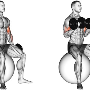 curl con manubri a presa supina su fitball - esercizio per bicipiti