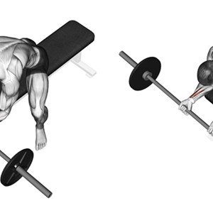 curl dei polsi con bilanciere seduti