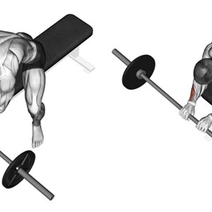 curl dei polsi inverso con bilanciere seduti