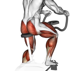 cyclette - esercizio cardio