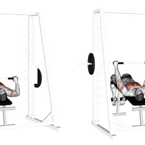 distensioni alla Smith Machine su panca declinata - esercizio per pettorali