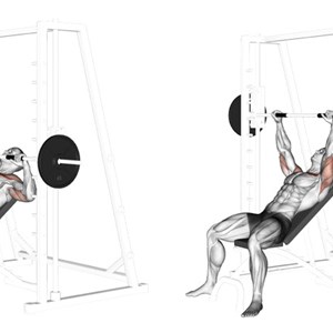 distensioni alla Smith Machine su panca inclinata - esercizio per pettorali