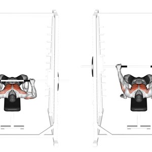 distensioni alla Smith Machine su panca piana - esercizio per pettorali
