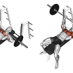 distensioni con bilanciere a presa stretta su panca piana - esercizio per tricipiti e pettorali