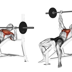 distensioni con bilanciere su panca inclinata - esercizio per pettorali