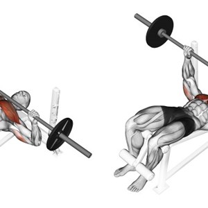 distensioni con bilanciere su panca piana declinata - esercizio per pettorali