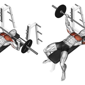 distensioni con bilanciere su panca piana - esercizio per pettorali