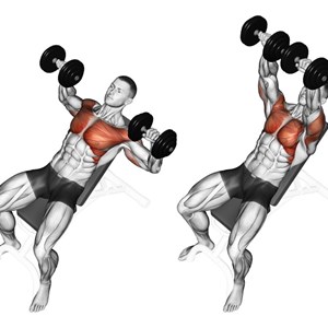 Esercizi Per Pettorali Muscoli Info